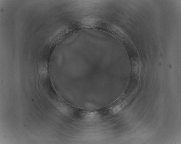 X0000074010507200608211425
