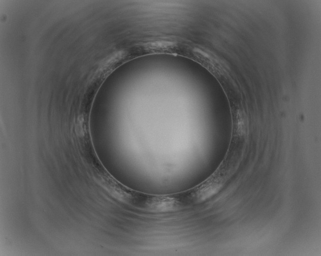 X0000074010514200608211425