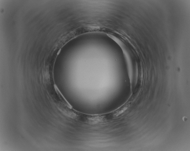 X0000074010516200608211425