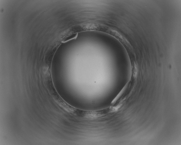 X0000074010521200608211425