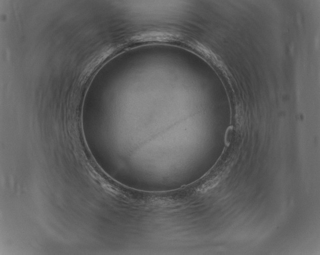 X0000074010529200608211424