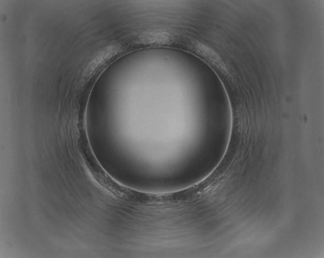 X0000074010538200608211424