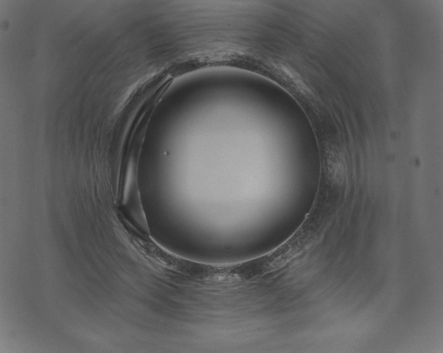 X0000074010543200608211424