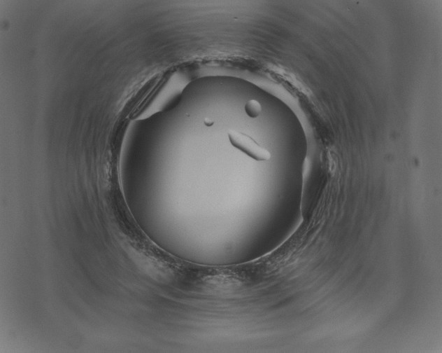 X0000074010544200608211424