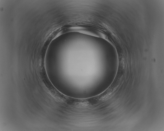 X0000074010548200608211424