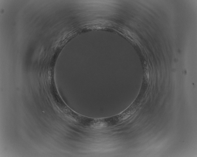X0000074010551200608211424