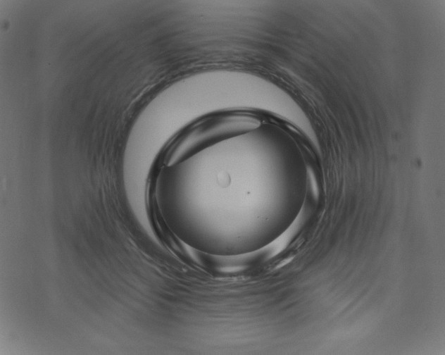 X0000074010556200608211424