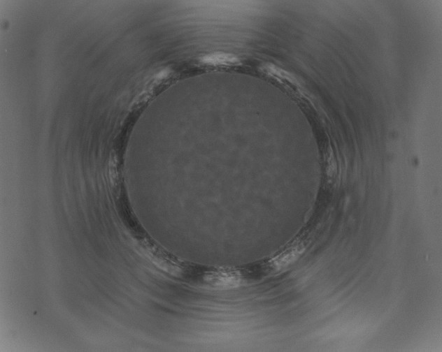 X0000074010559200608211424