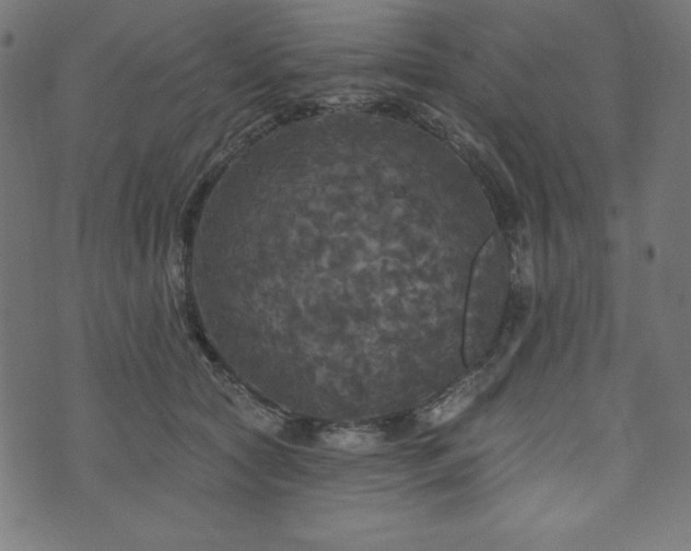 X0000074010561200608211424