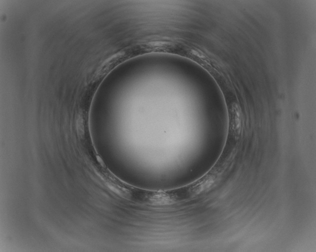 X0000074010562200608211424