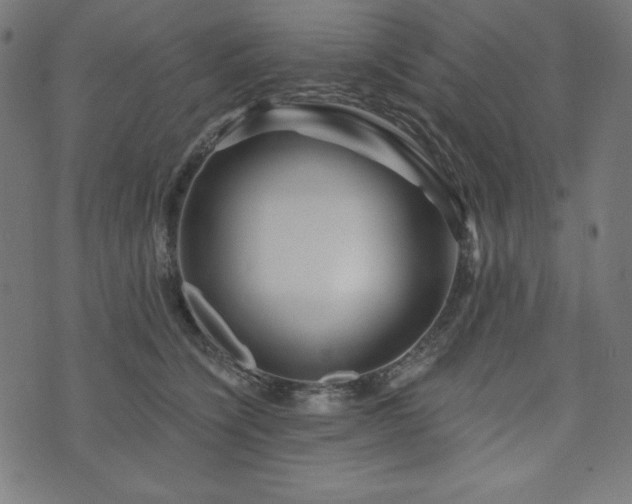 X0000074010564200608211425