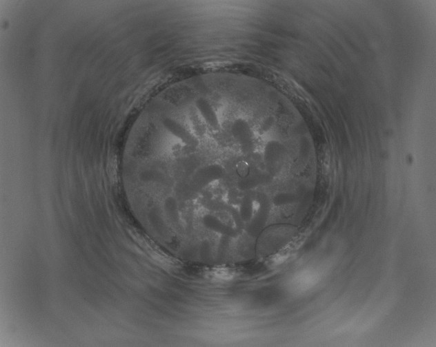 X0000074010565200608211425
