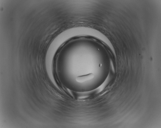 X0000074010566200608211425