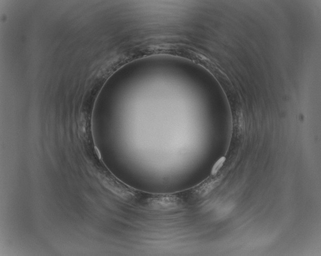 X0000074010567200608211425