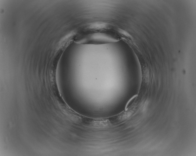 X0000074010571200608211425