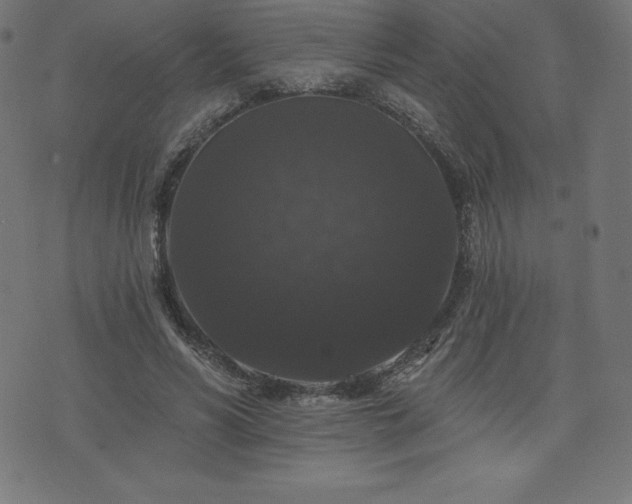 X0000074010590200608211424