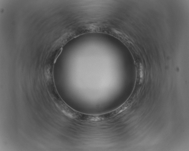 X0000074010611200608211423