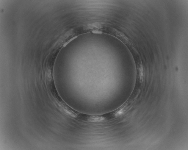 X0000074010617200608211423