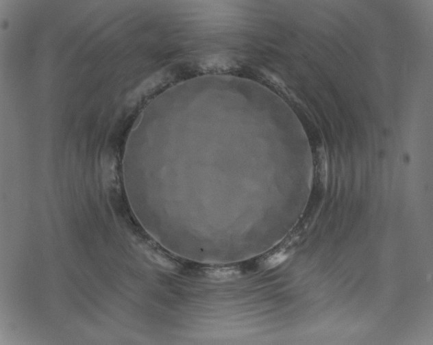 X0000074010619200608211423