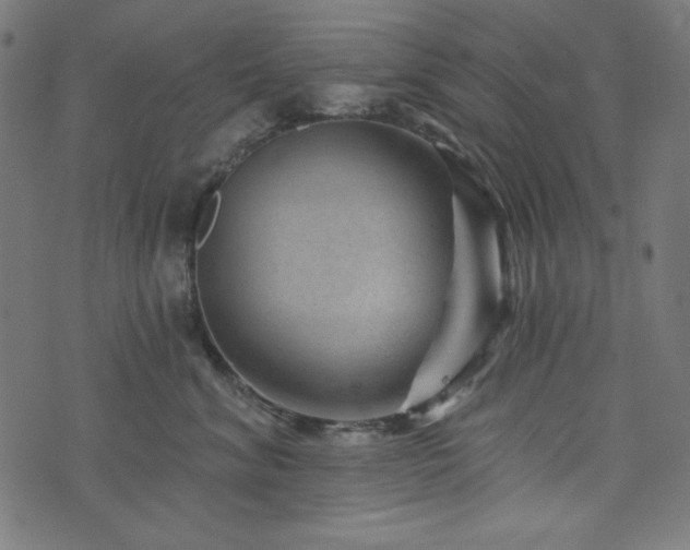 X0000074010620200608211423