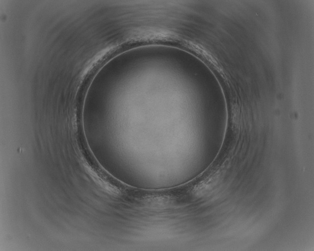 X0000074010629200608211422