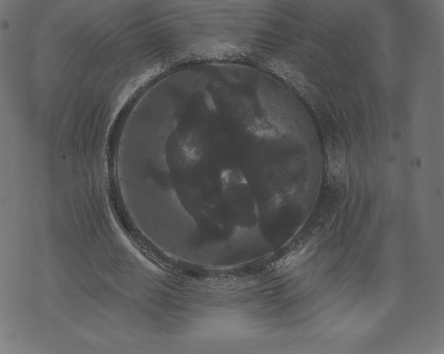 X0000074010630200608211422