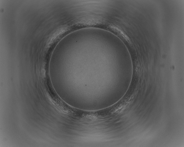 X0000074010635200608211423