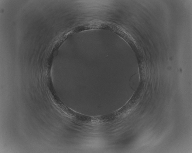 X0000074010641200608211423
