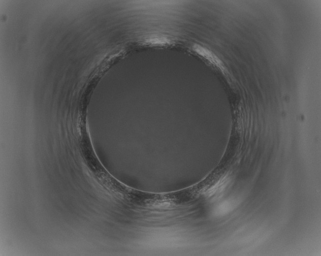 X0000074010643200608211423