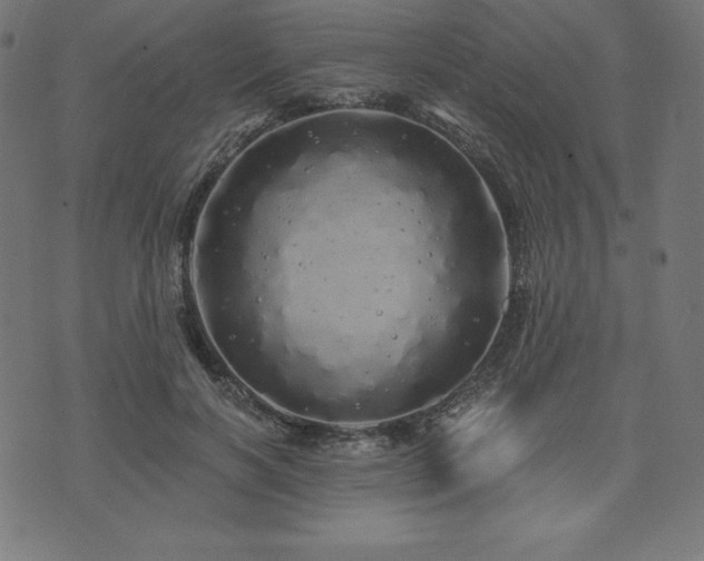 X0000074010646200608211423