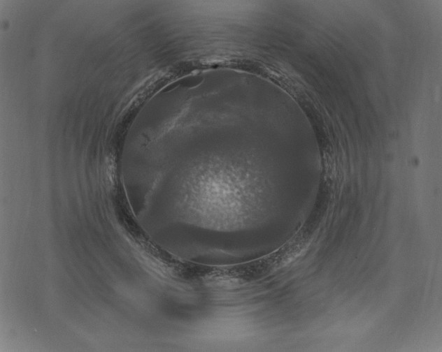 X0000074010648200608211423
