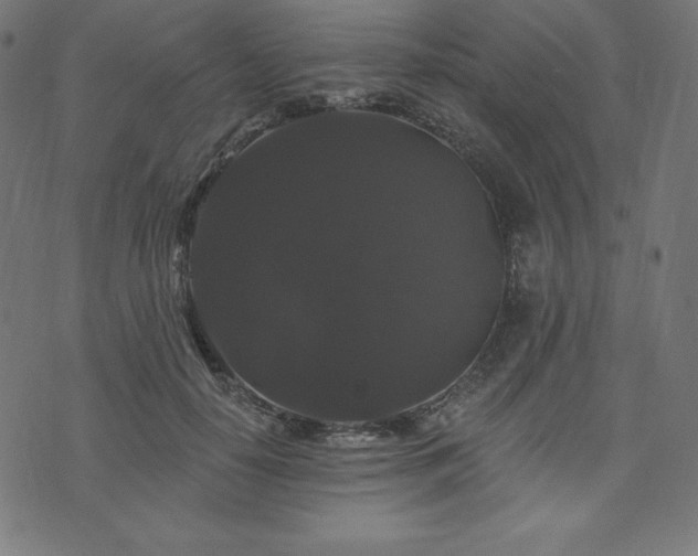 X0000074010650200608211423