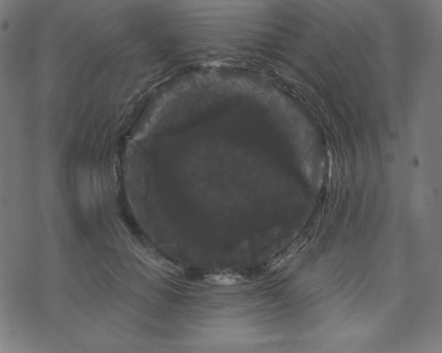 X0000074010654200608211423