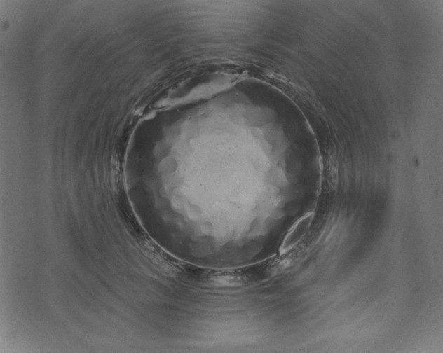 X0000074010657200608211423