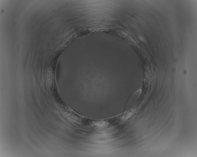X0000074010659200608211423