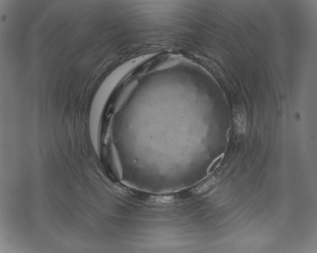 X0000074010665200608211423