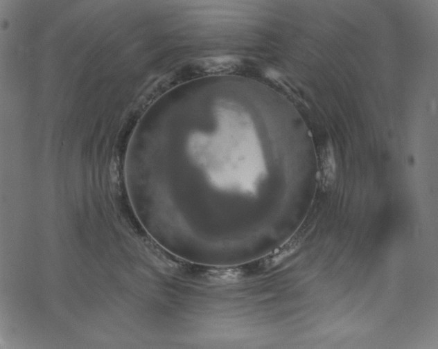 X0000074010667200608211423