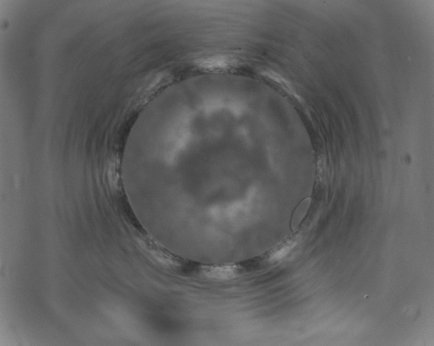 X0000074010671200608211423