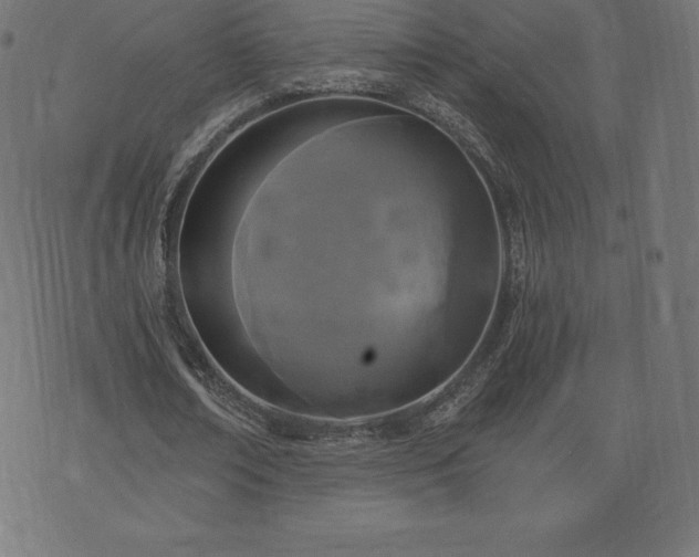 X0000074010674200608211422