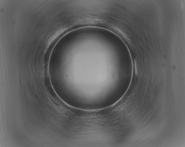 X0000074010675200608211422