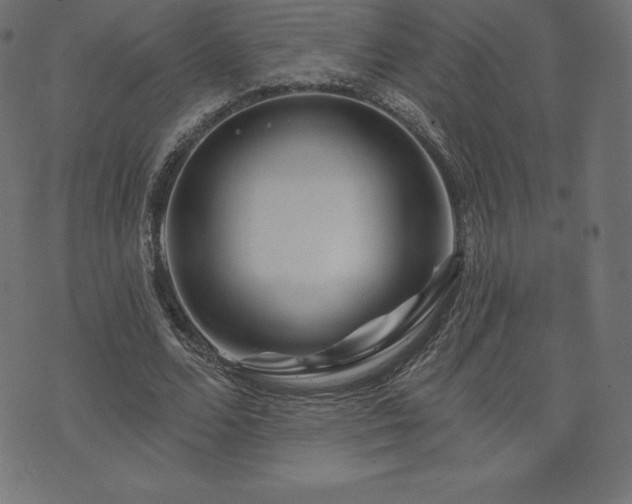 X0000074010680200608211422