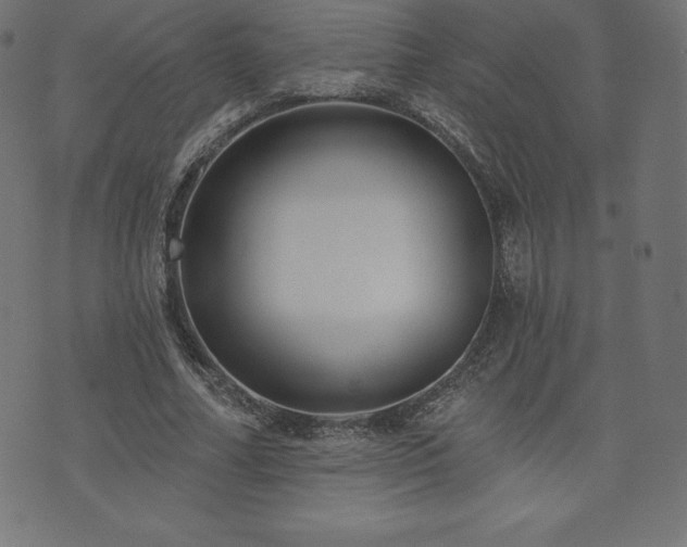 X0000074010682200608211422