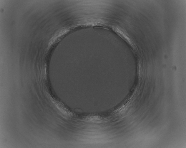 X0000074010685200608211422