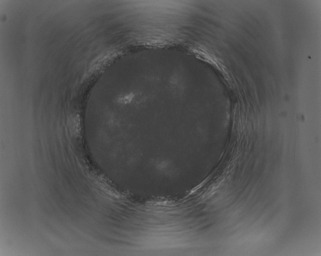 X0000074010689200608211422