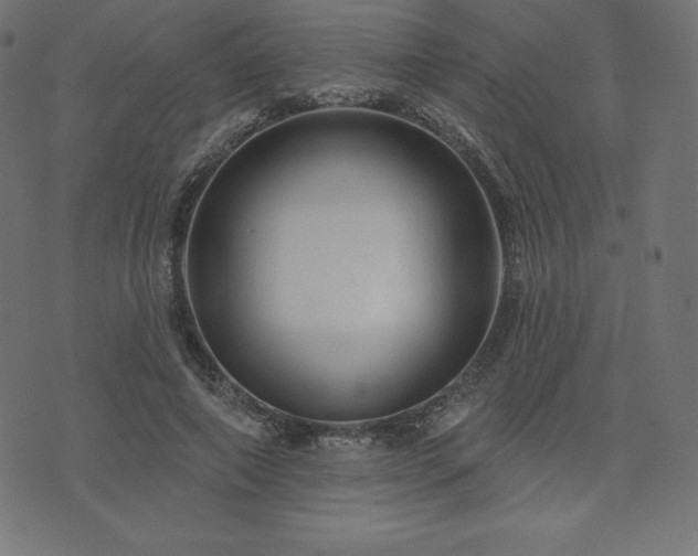 X0000074010690200608211422