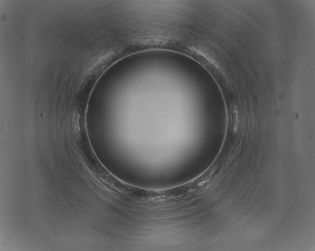 X0000074010692200608211422