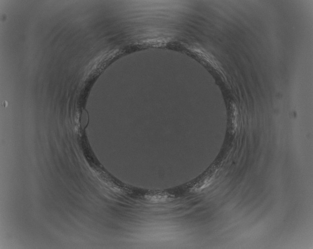 X0000074010693200608211422