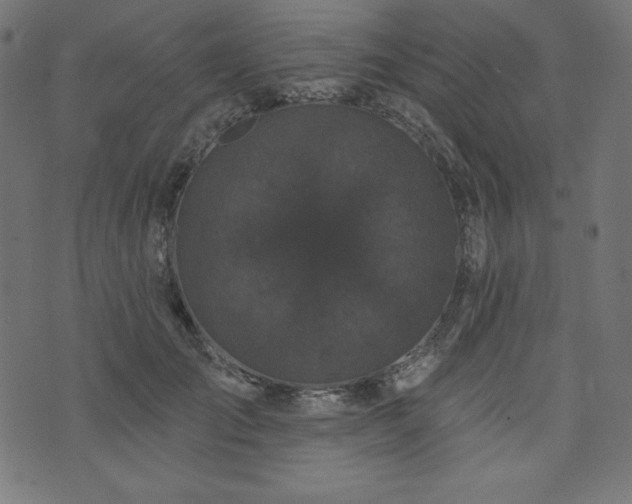 X0000074010701200608211422