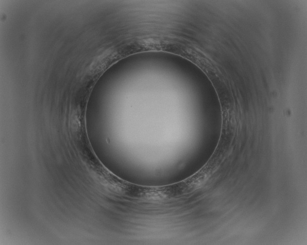 X0000074010702200608211422