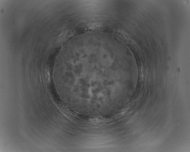 X0000074010703200608211422